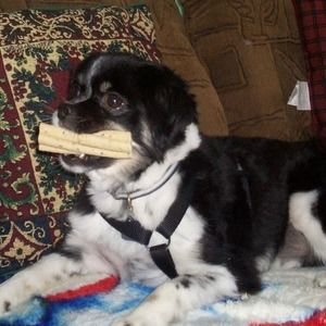 Meet your Posher, Ida may